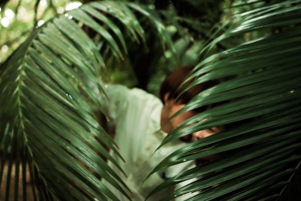 热带气候的蜜月旅行图片下载