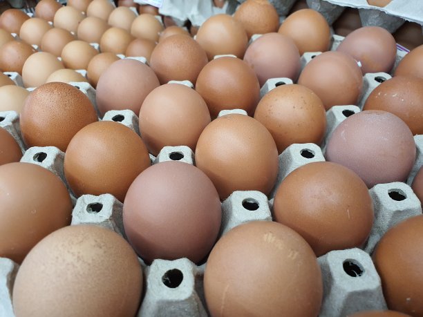 近距离观看生鸡蛋在鸡蛋纸托盘准备出售图片下载