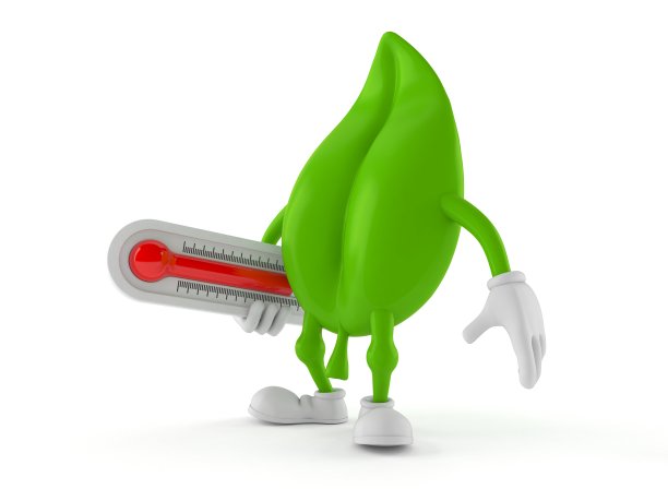 叶性状保持温度计图片下载