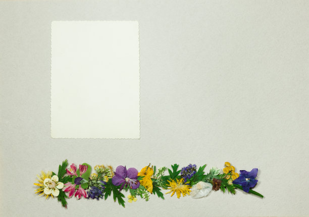 旧相册里的一页，灰色的。剪贴簿元素装饰的叶子，花和花瓣野花。乡村风格的相册页在剪贴簿与相框的照片。图片下载