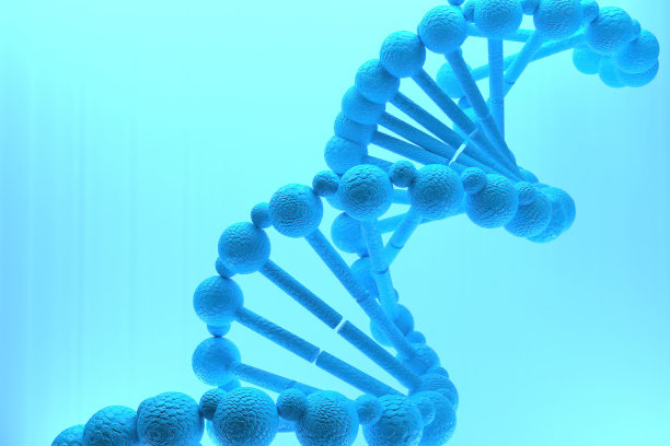 DNA（脱氧核糖核酸）结构3D渲染，3D图示图片下载
