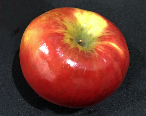 蜜脆苹果图片下载