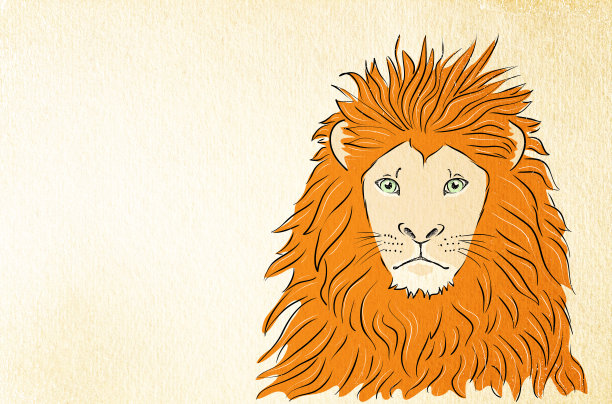 狮子的背景。森林动物和丛林首领。图片下载