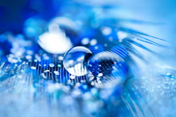 美丽透明的水滴或雨水在柔软的背景。放大照相。桌面背景。有选择性的重点。图片下载