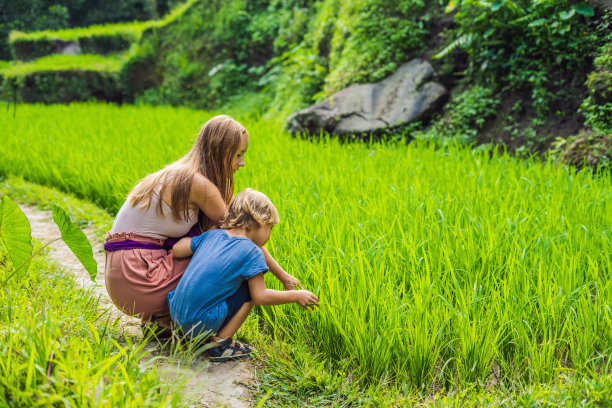 印度尼西亚巴厘岛乌布，母亲和儿子在稻田里梯田的背景。带着孩子旅行的概念。幼儿实践教学图片下载