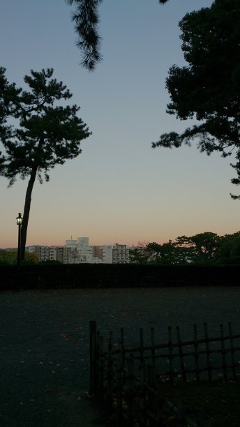 日本的黄金时光图片下载