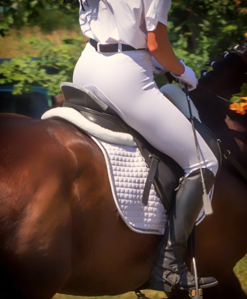 马近距离与未知骑手在皮革马鞍下图片下载