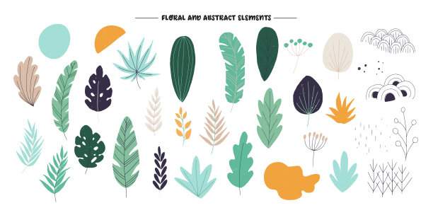 一组扁平的热带叶子，花和抽象的形状图片下载