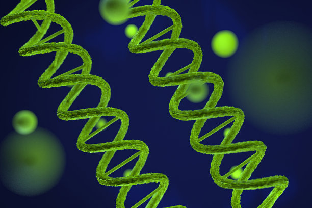 DNA（脱氧核糖核酸）结构3D渲染，3D图示图片下载