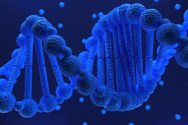 DNA（脱氧核糖核酸）结构3D渲染，3D图示图片下载