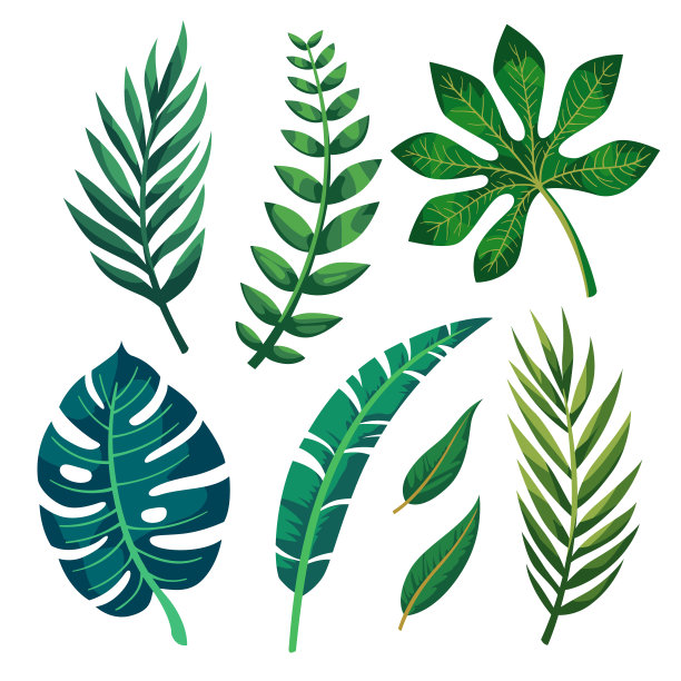 热带矢量绿叶图案。奇异的壁纸。夏天的设计。图片下载