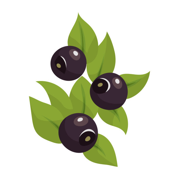 蓝莓孤立在白色背景。明亮的矢量插图多彩的一半和整个多汁的越桔。新鲜的卡通图片下载