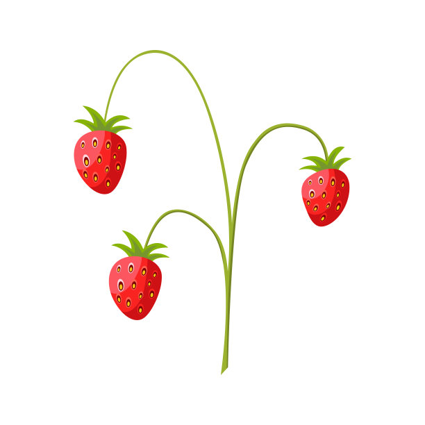 一丛野生草莓。的矢量图图片下载