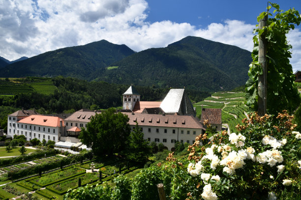 诺瓦塞拉修道院周围的绿色葡萄园，南蒂罗尔，布雷萨诺，意大利。图片下载