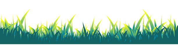 绿色的草。草地上草坪草。矢量插图。素材图片