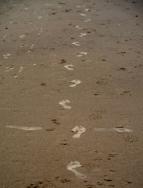 沙滩上的脚印图片下载