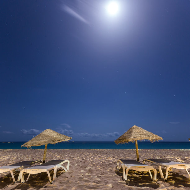 月光在海滩图片下载