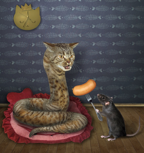 老鼠给猫蛇吃香肠图片下载