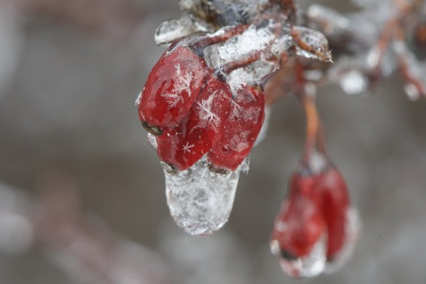 立冬照片素材ID：350367132