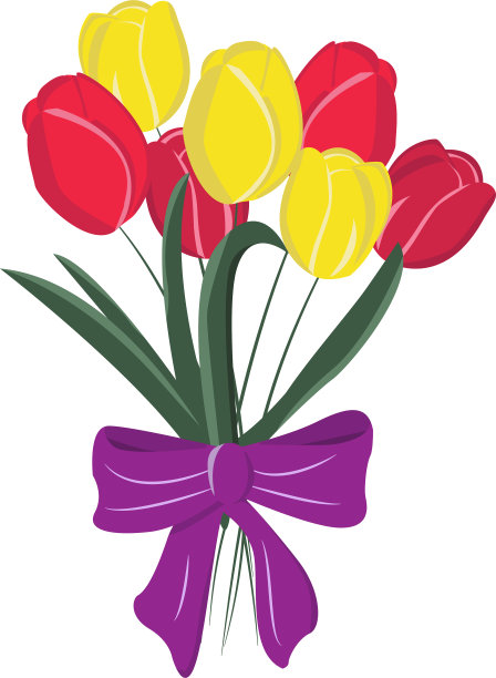 花。白色背景上的郁金香。插图设计图片下载