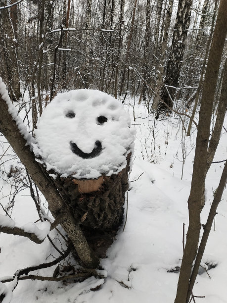 一个微笑的表情被画在森林的雪地上图片下载