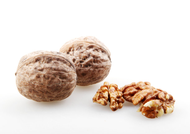 特写核桃孤立在白色图片下载
