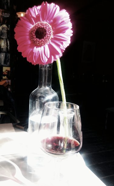 索里弗洛和一杯红酒图片下载