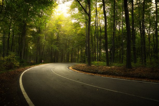 柏油路穿过秋天的森林图片下载