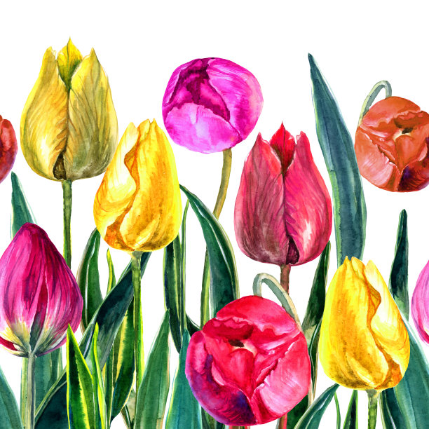 明亮的水彩郁金香。无缝模式。春季和夏季设计的纺织品，织物，壁纸，背景，包装，包装纸，封面。图片下载