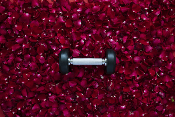 健身房情人节概念简约背景，红色玫瑰地板上放置哑铃俯视图图片下载