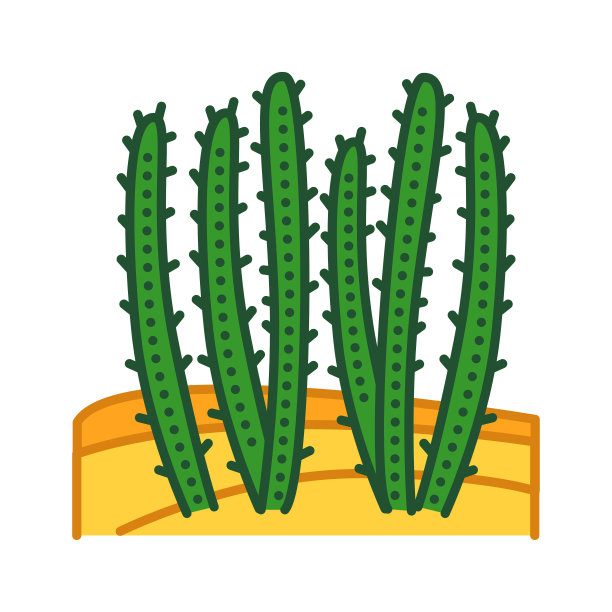 仙人掌沙漠颜色线图标。类型的仙人掌。在极端干燥的环境中生长。象形文字用于网页、手机应用、促销。UI UX GUI设计元素。可编辑的中风。图片下载