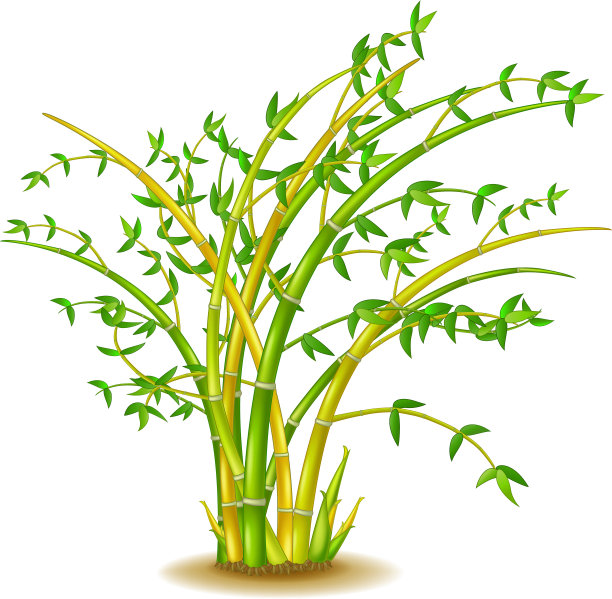 酷绿黄竹树漫画图片下载