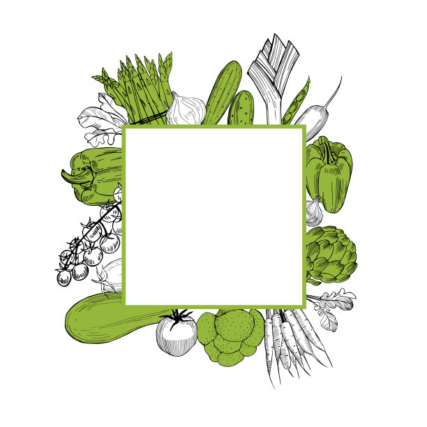 矢量背景与蔬菜。图片下载