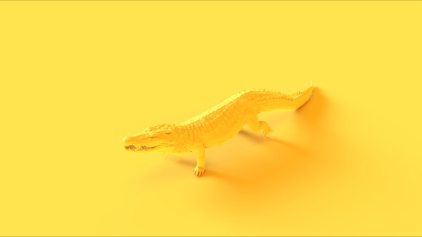 黄色走鳄鱼图片下载