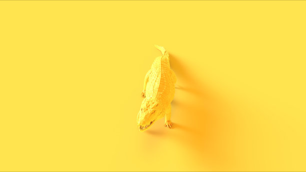 黄色走鳄鱼图片下载