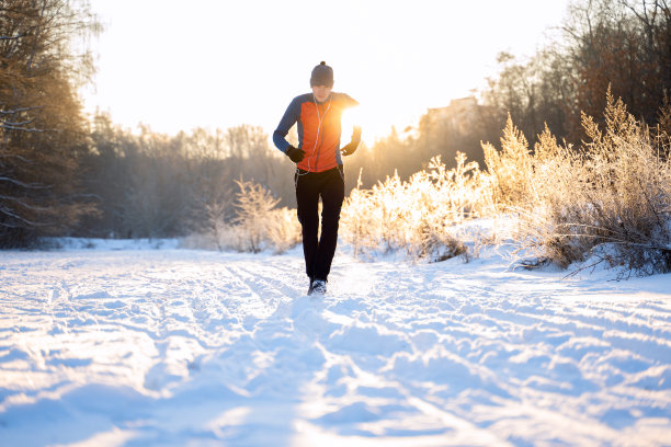 冬季森林的树木中跑步运动员的照片图片下载