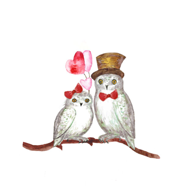 水彩画的猫头鹰坐在树枝上气球心。用于设计贺卡。素材图片