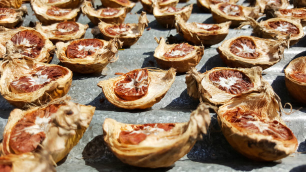 特写槟榔干果，槟榔，泰国图片下载