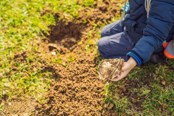 这个男孩玩回收游戏。他把一次性塑料盘子和可降解的盘子埋起来。几个月后，他挖出了盘子，发现可生物降解的盘子开始分解，而塑料没有图片下载