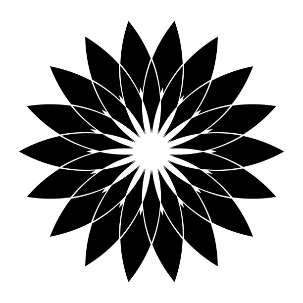 几何圆形设计元素。花形图案。图片下载