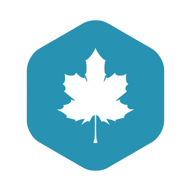 枫叶图标。树离开。森林和自然的象征。矢量插图在简单的平面风格孤立的白色背景设计和网页。图片下载