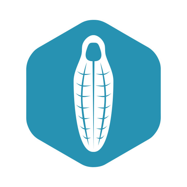 图标睡袋。一款旨在在大自然中放松和睡眠的产品。矢量插图在简单的平面风格孤立的白色背景设计和网页。图片下载