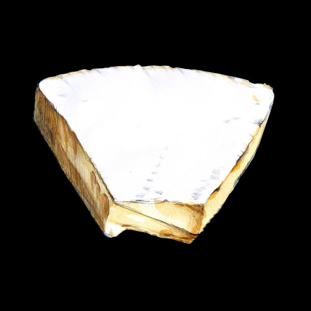 布里水彩插图在黑色的背景图片下载