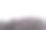 冬天外面有一排光秃秃的灌木和树木图片下载