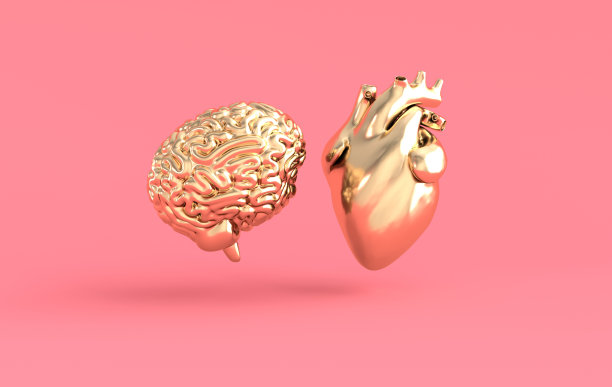 心脏和大脑3d渲染。情感与理性思维冲突的概念。灵魂与智力的平衡图片下载