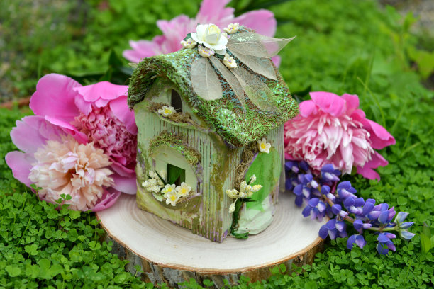 三叶草田中，牡丹花木装饰的仙人小屋。图片下载