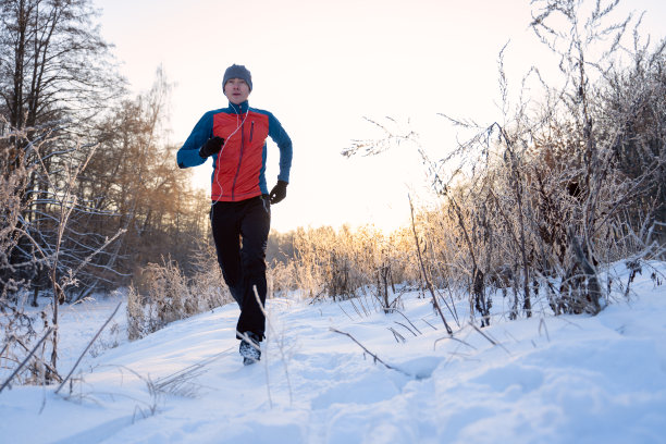 冬季森林的树木中跑步运动员的照片图片下载