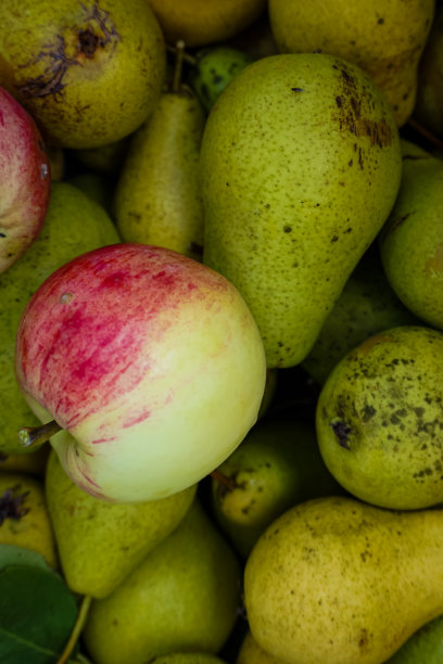 梨和苹果图片下载