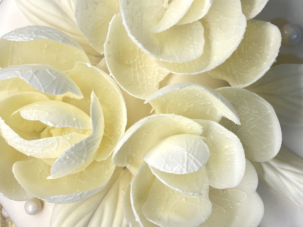 白巧克力花特写图片下载