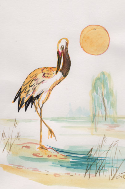 鹳在里德图片下载